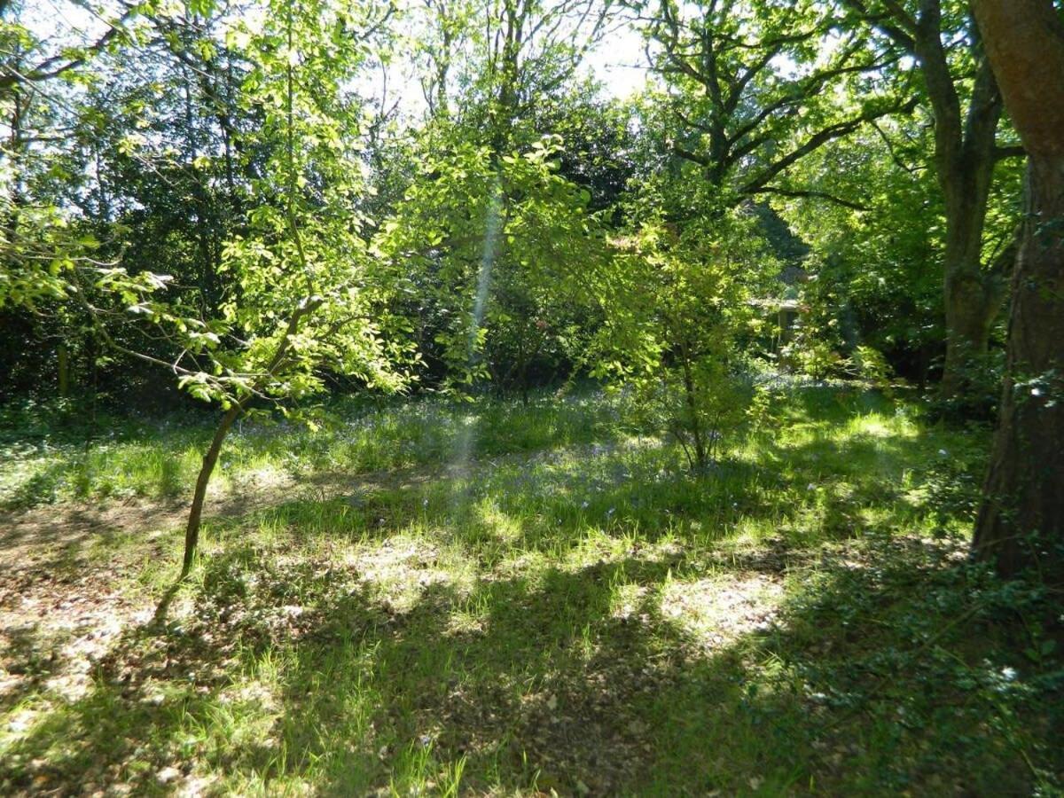 East Stoke  River Cottage A Country Retreat In Wooded Gardens מראה חיצוני תמונה
